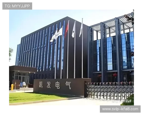 凯发集团凯发官网:合作伙伴与企业社会责任项目的详细介绍 凯发集团凯发官网:合作伙伴与企业社会责任项目的详细介绍