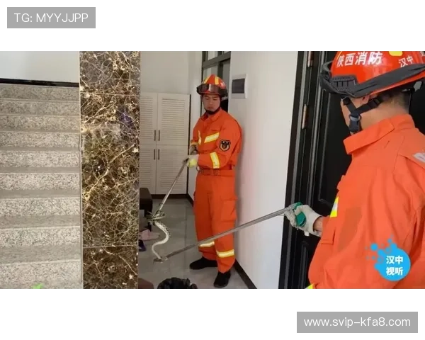 凯发ag旗舰官网安全保障措施详解保障玩家资金安全 凯发ag旗舰官网安全保障措施详解保障玩家资金安全